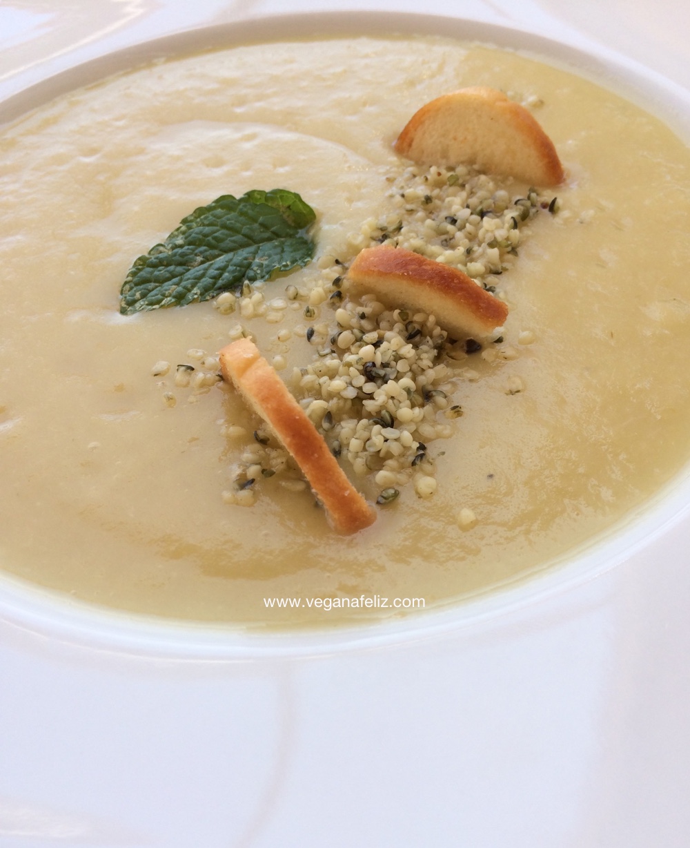 cremamanzanapuerro Crema de manzana con puerro