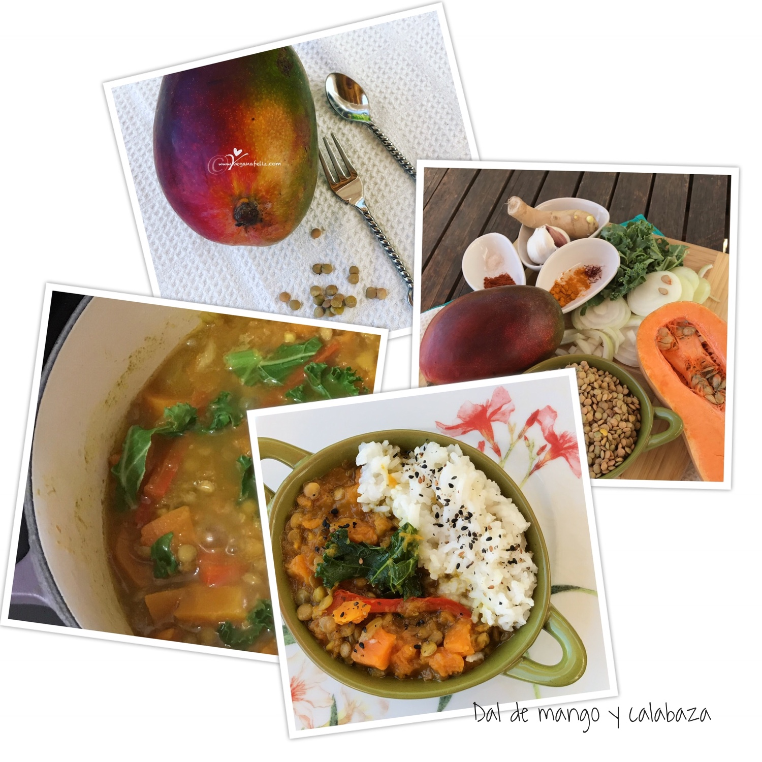 dal_mango_calabaza Dal de lentejas