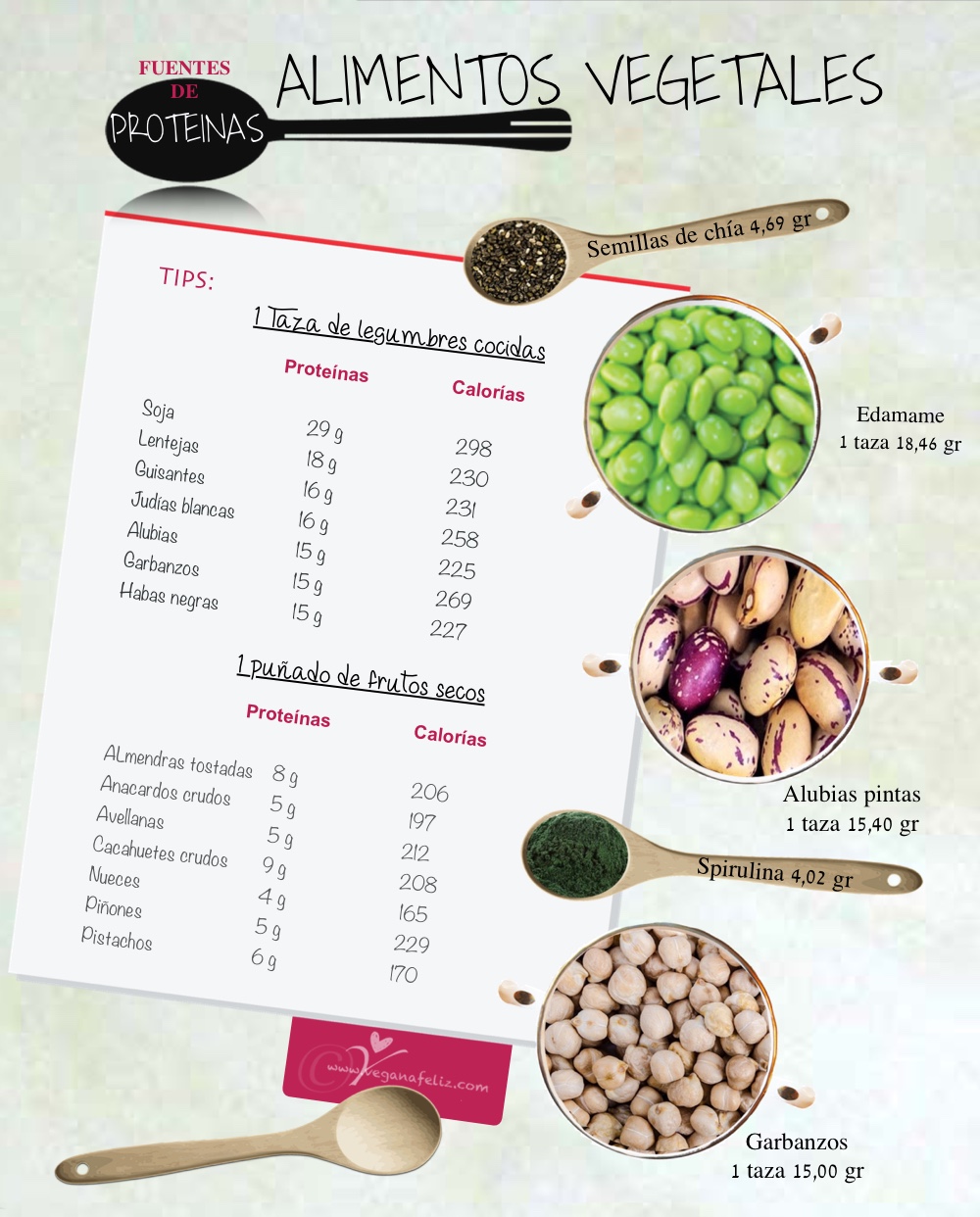 proteinasPlantas Alimentación